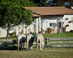 Mas De La Grenouillere Hotel Et Centre Equestre En Pleine Nature (Saintes-Maries-de-la-Mer, France)