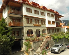Hotel Apollon (Metsovo, Greece)