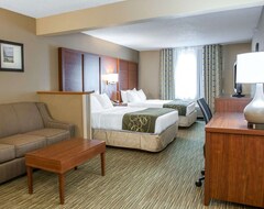 Hotel Comfort Suites North Elkhart (Elkhart, USA)