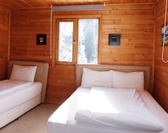Otel Natura Lodge (Rize, Türkiye)