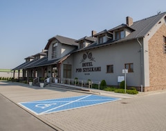 Hotel Pod Szyszkami (Rozdrażew, Poland)