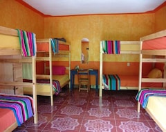 Albergue Iguana Hostel (San Cristóbal de las Casas, México)