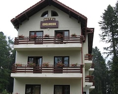 Khách sạn Hotel Edelweiss (Predeal, Romania)