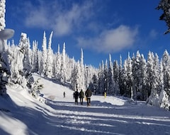 Hele huset/lejligheden 2 Bd 2 Bth - Easy Ski In Ski Out - Walk To Village (Alberta, Canada)