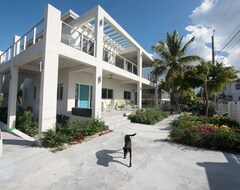 Koko talo/asunto Oceanfront - Turtle Suite At Drift Villa (Cockburn Town, Turks- ja Caicossaaret)