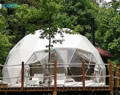 Koko talo/asunto Medve Dome - Luxury Camping In The Middle Of Nature (Vlăhiţa, Romania)