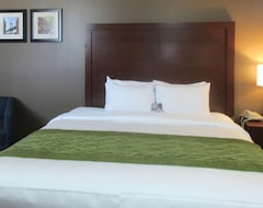 Hotel Comfort Inn & Suites (Jamaica, USA)