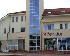 Khách sạn Senator (Slatina, Romania)