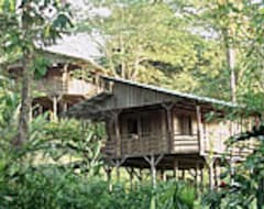 Hotelli Selva Bananito Lodge (Puerto Viejo de Talamanca, Costa Rica)