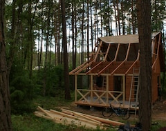 Campingplads Pod Sosnami (Stegna, Polen)