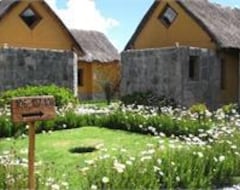 Khách sạn Eco Inn Valle del Colca (Yanque, Peru)