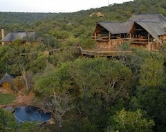 فندق سيديبا برايفيت جيم لودج (Vaalwater, جنوب أفريقيا)