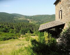 Cijela kuća/apartman Très Belle Ferme Cévenole En Pierre, Vue Superbe, Beaucoup Despace, Au Calme (Saint-Pierre-Saint-Jean, Francuska)