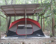 Camping Campamento Ecológico Yaax'che (Campeche, México)