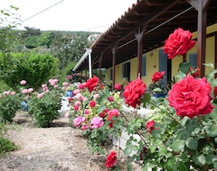 Otel Lemonakia (Kokkari, Yunanistan)