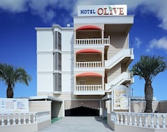 Hotel Olive Sakai (Sakai, Japan)