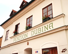 Hotelli Pension Dubina (Litoměřice, Tsekin tasavalta)