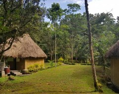 Hotel Nshongi Forest Camp (Kabale, Uganda)