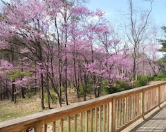 Entire House / Apartment New Hvac For All Season Rental - Almost Heaven Red Bud Haven - Plug Into Nature (Lost River, USA)