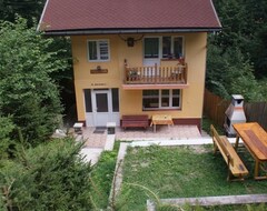 Entire House / Apartment Vila Gabi Sinaia (Sinaia, Romania)