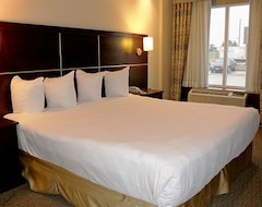 Khách sạn Woodbine Hotel & Suites (Toronto, Canada)