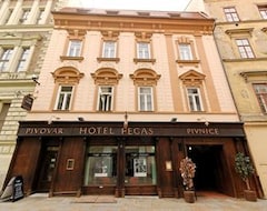 Otel Pegas Brno (Brno, Çek Cumhuriyeti)
