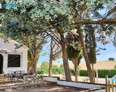 Cijela kuća/apartman Dehesa Vieja Casa Rural (Alarcon, Španjolska)