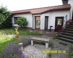 Hele huset/lejligheden Beautiful Apartment With Pool On The Outskirts Of The City (Magdeburg, Tyskland)