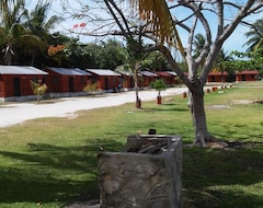 Khách sạn Trailerpark & Cabañas Mecoloco inn (Cancun, Mexico)