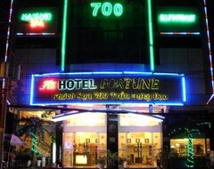 Otel Fortune 1 (Ho Chi Minh City, Vietnam)