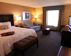 Hotel Hampton Inn & Suites Carlsbad (Carlsbad, USA)