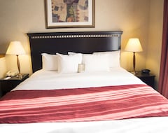 Hotel Comfort Suites Longmont (Firestone, USA)
