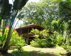Entire House / Apartment Villas Del Caribe (Puerto Viejo de Talamanca, Costa Rica)
