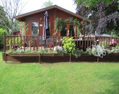 Toàn bộ căn nhà/căn hộ Dog Friendly Lodge In A Tranquil Setting With 150 Acres Of Beautiful Forest (Aylsham, Vương quốc Anh)