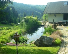 Toàn bộ căn nhà/căn hộ Cottage For Up To 3 Persons And Pet With Fireplace, Sauna, Satellite Tv, Toilet, Bathtub (Klingenthal, Đức)