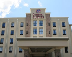 Hotel COMFORT SUITES GREENVILLE SOUTH (Piedmont, USA)