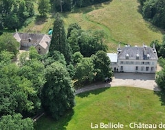 Bed & Breakfast Château de Séréville (La Belliole, Pháp)