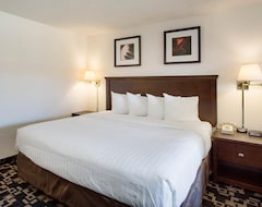 Khách sạn Econo Lodge Inn And Suites (Bellingham, Hoa Kỳ)