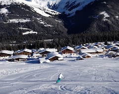 Tüm Ev/Apart Daire Ski In Penthouse Apartment With Glorious Views (Krimml, Avusturya)