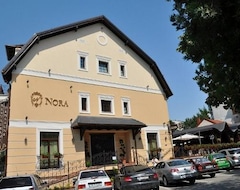 Hotel Pensiunea Nora (Timisoara, Romania)