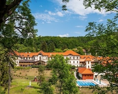 Erzsebet Park Hotel (Parád, Hungary)