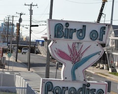 Bird of Paradise Motel (North Wildwood, ABD)