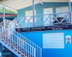 Toàn bộ căn nhà/căn hộ Wild Flowers Apartments (Cabo Rojo, Puerto Rico)