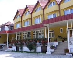 Guesthouse Pensiunea Grandlion (Târgu Mures, Romania)