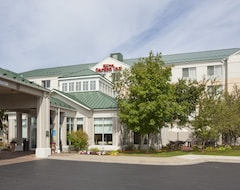 Khách sạn Hilton Garden Inn Minneapolis St. Paul-Shoreview (Shoreview, Hoa Kỳ)