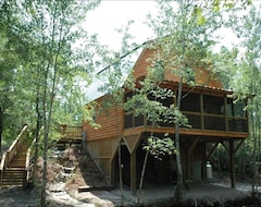 Toàn bộ căn nhà/căn hộ Secret Romantic Cabin Of South Carolina W/big Green Egg Grill (Marion, Hoa Kỳ)
