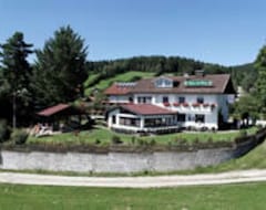 Khách sạn Haus am Berg (Rinchnach, Đức)