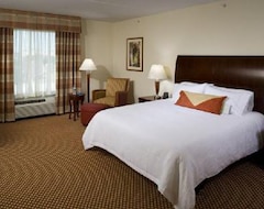 Hotel Hilton Garden Inn Frisco (Frisco, USA)