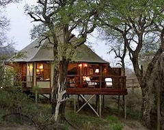 Kamp Alanı Hamiltons Tented Camp (Sabi Sand Game Reserve, Güney Afrika)