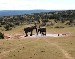 Hotel Addo Elephant Main Rest Camp (Addo Elephant National Park, Sydafrika)